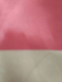 从漂亮书生开始签到
