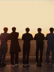 TF家族：八人更完美