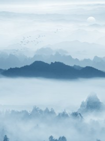 潮汐之鸣