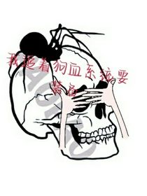 TNT：我追著狗血系統(tǒng)要裝備