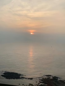 归鸟倦林