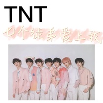 TNT：七个徒弟爱上我