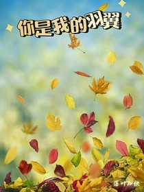 你是我的羽翼