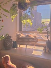 芽芽山庄