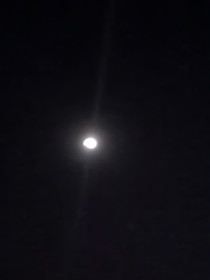 夏……萱
