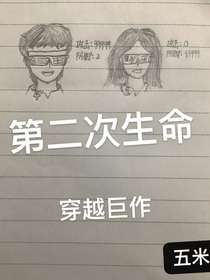 第二次生命：穿越巨作