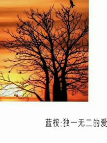 沈医生，恋爱吗？