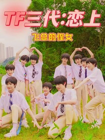 TF三代：戀上飛總的侄女