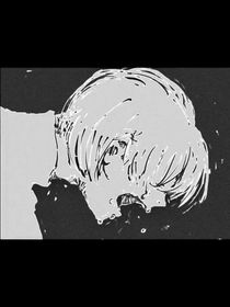 逐光s
