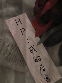 HP：我的后宫