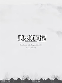 心灵的日记