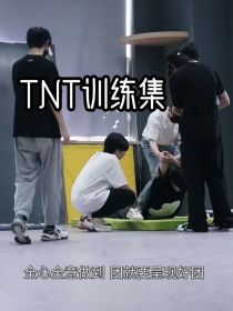 TNT训练集