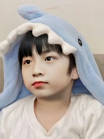 图片和歌