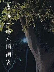 送你一碗人间烟火