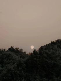 老公宠妻太幸福
