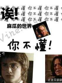 HP：麻瓜的世界你不懂-d388