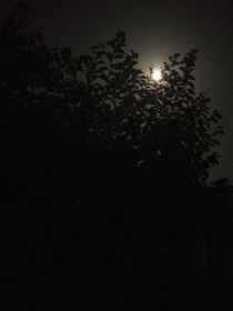 秋水满池