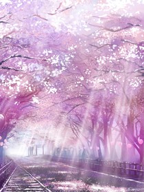 欲落櫻花