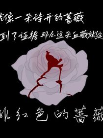 绯红色的蔷薇