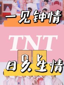 TNT：一见钟情or日久生情