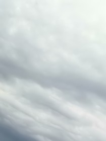 一个她，和一个她
