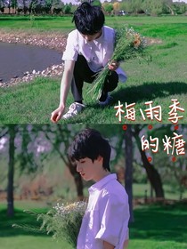 严浩翔：梅雨季的糖