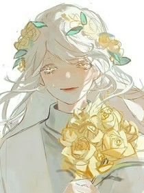 拼凑白昼