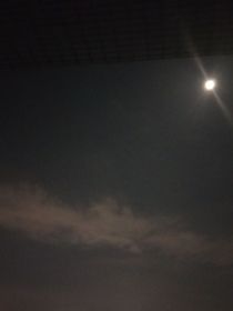 遗憾的……纪念
