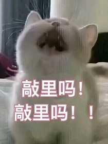 修仙什么的小爷才不干