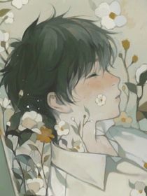 废墟下的雏菊