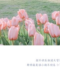 我想吃掉你的胰脏请给我你的爱