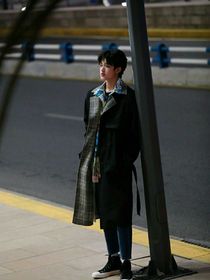 TF家族：一妻多夫？