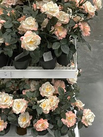 与君共舞吧