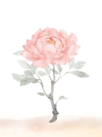 恰好相遇