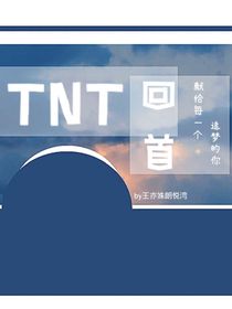 TNT：回首