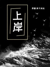 上……岸