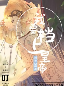 我要档上皇帝