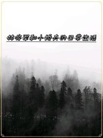 林将军和小娇夫的日常生活