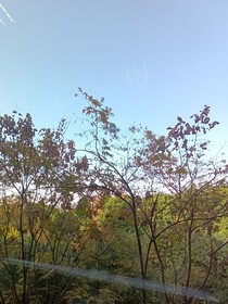晨初冰釋