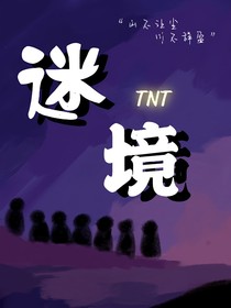 TNT：迷境