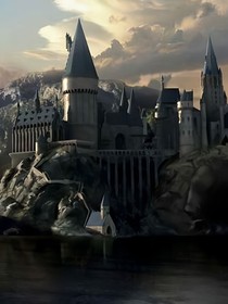 HP奶狼养成日记