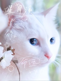 猫武士之星月溪的命运