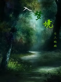 入梦境