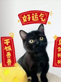 cen猫短篇合集