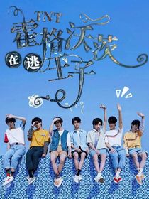 TNT：霍格沃茨在逃王子