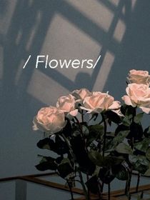 flowers花儿