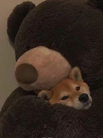 糖瓜