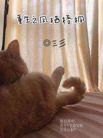 重生之凤栖梧桐