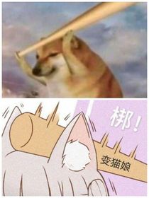 国家队前传