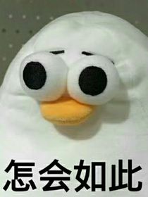 日记xy